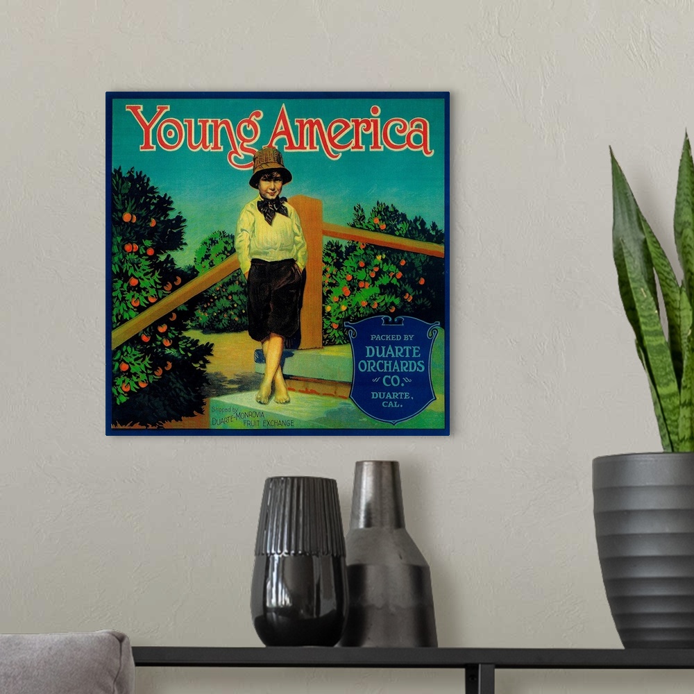 A modern room featuring Young America Orange Label, Duarte, CA