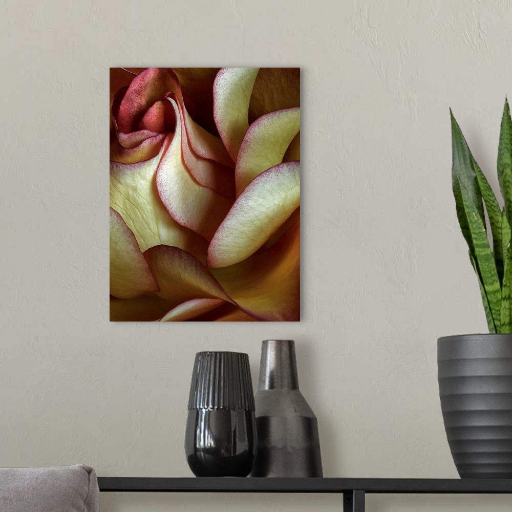 A modern room featuring Big canvas art of a rose petal up close showing a lot of details.