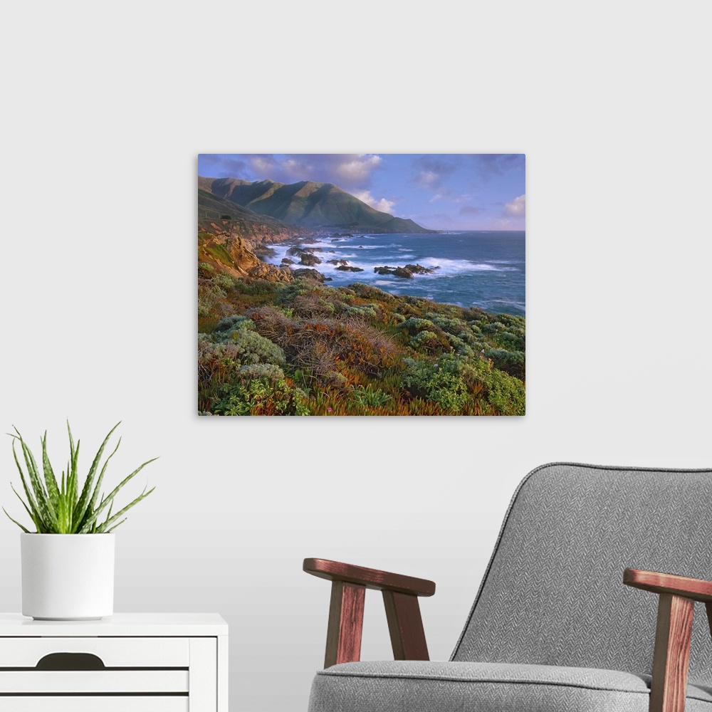 A modern room featuring Cliffs and the Pacific Ocean, Garrapata State Beach, Big Sur, California
