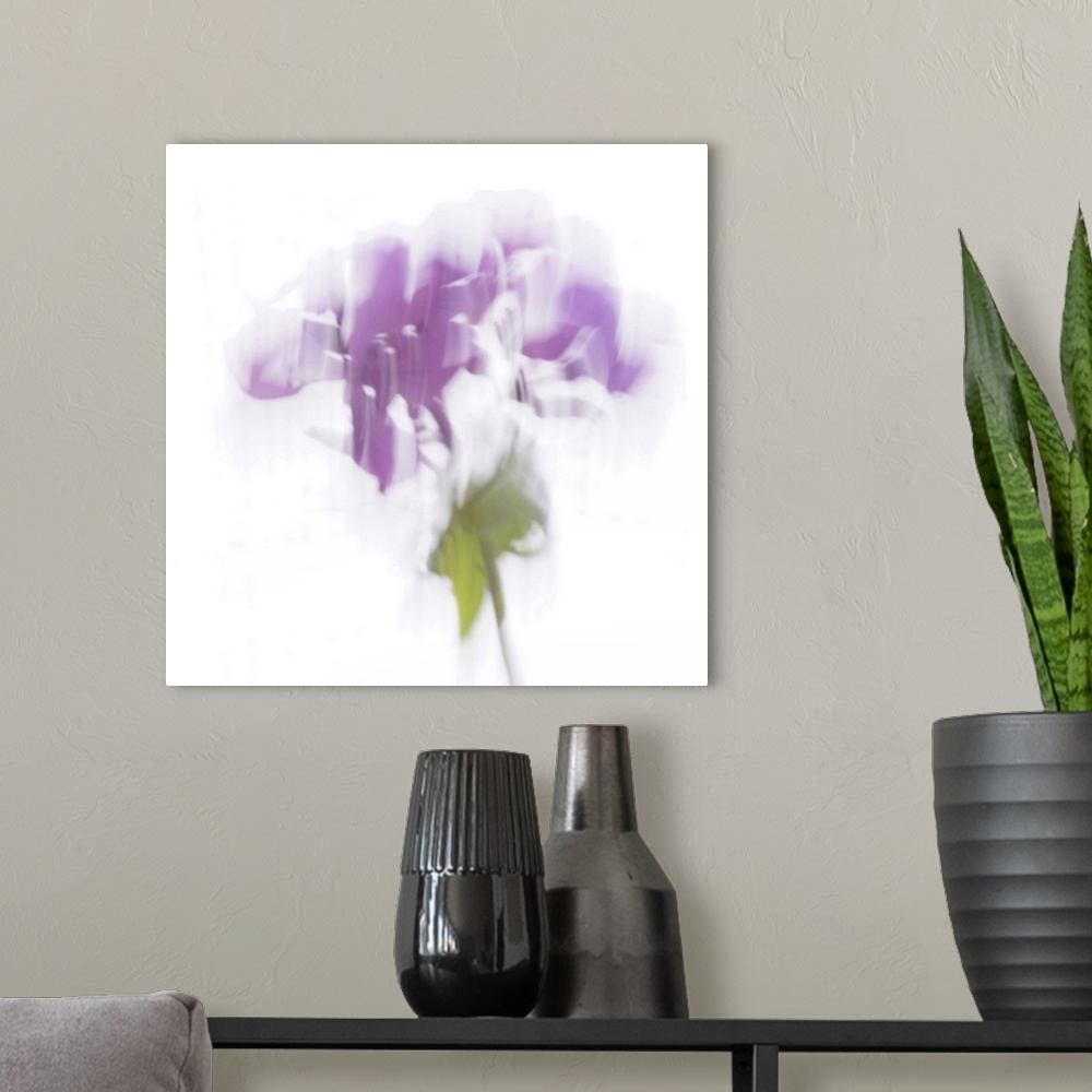 A modern room featuring Artistically blurred photo. The fluttering song of a flower in the wind.
