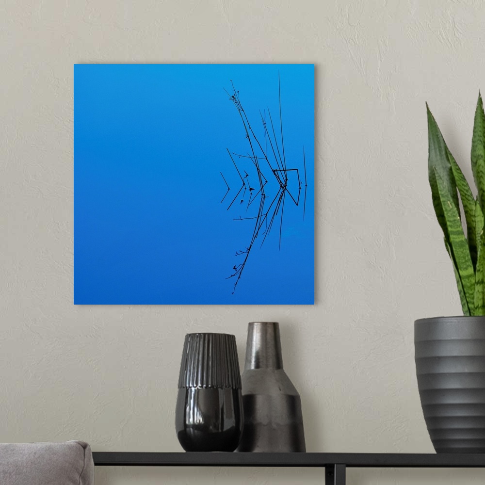A modern room featuring Reflection of grasses in blue water
