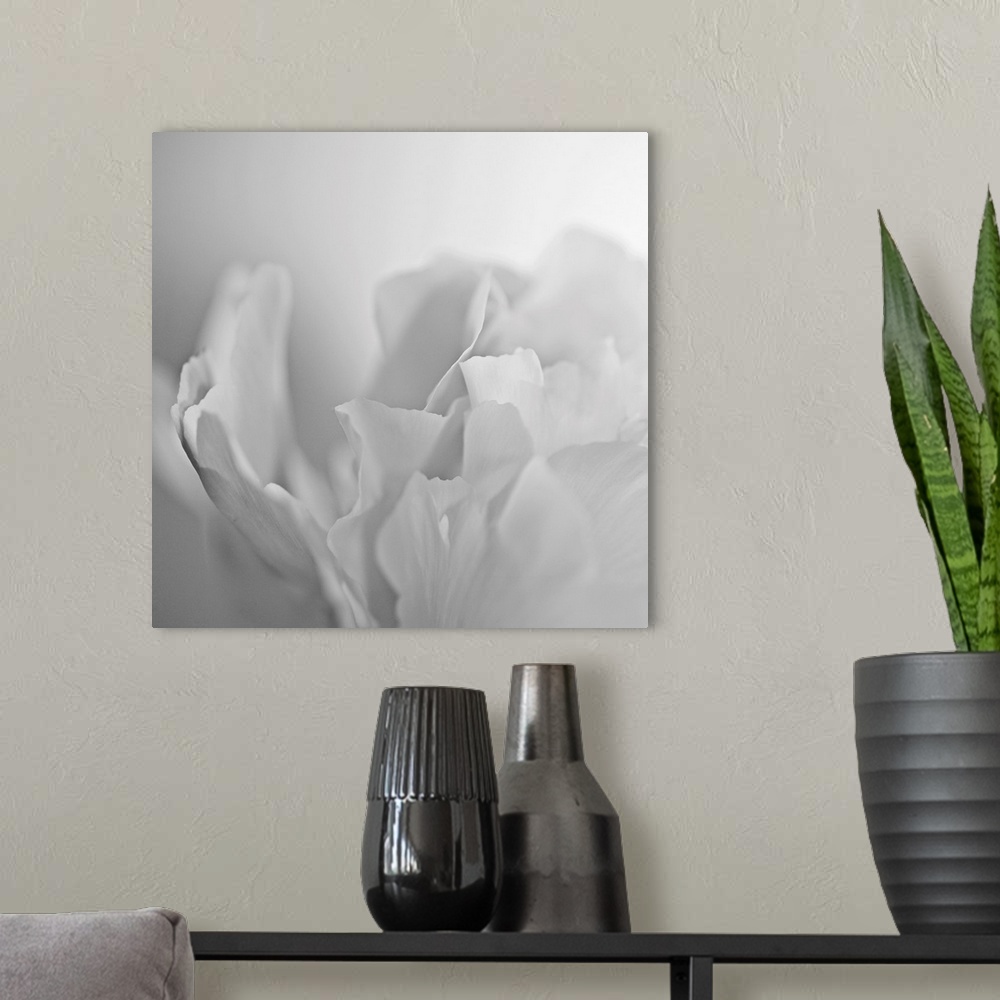 A modern room featuring This square wall art has very low contrast in the photograph of a white peony on a white backdrop.