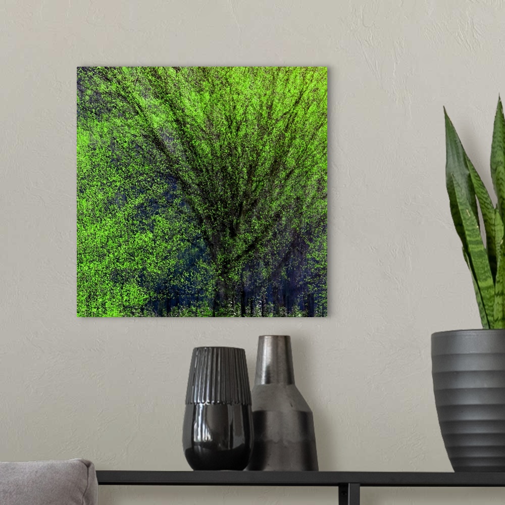 A modern room featuring Multiple exposure photograph of a tree.