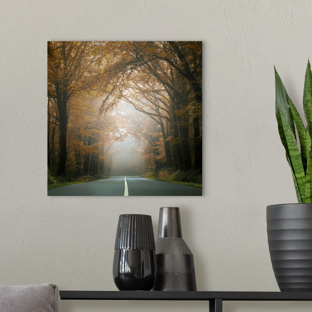 A modern room featuring Square picture of a road crossing the forest behind dark trees at fall.