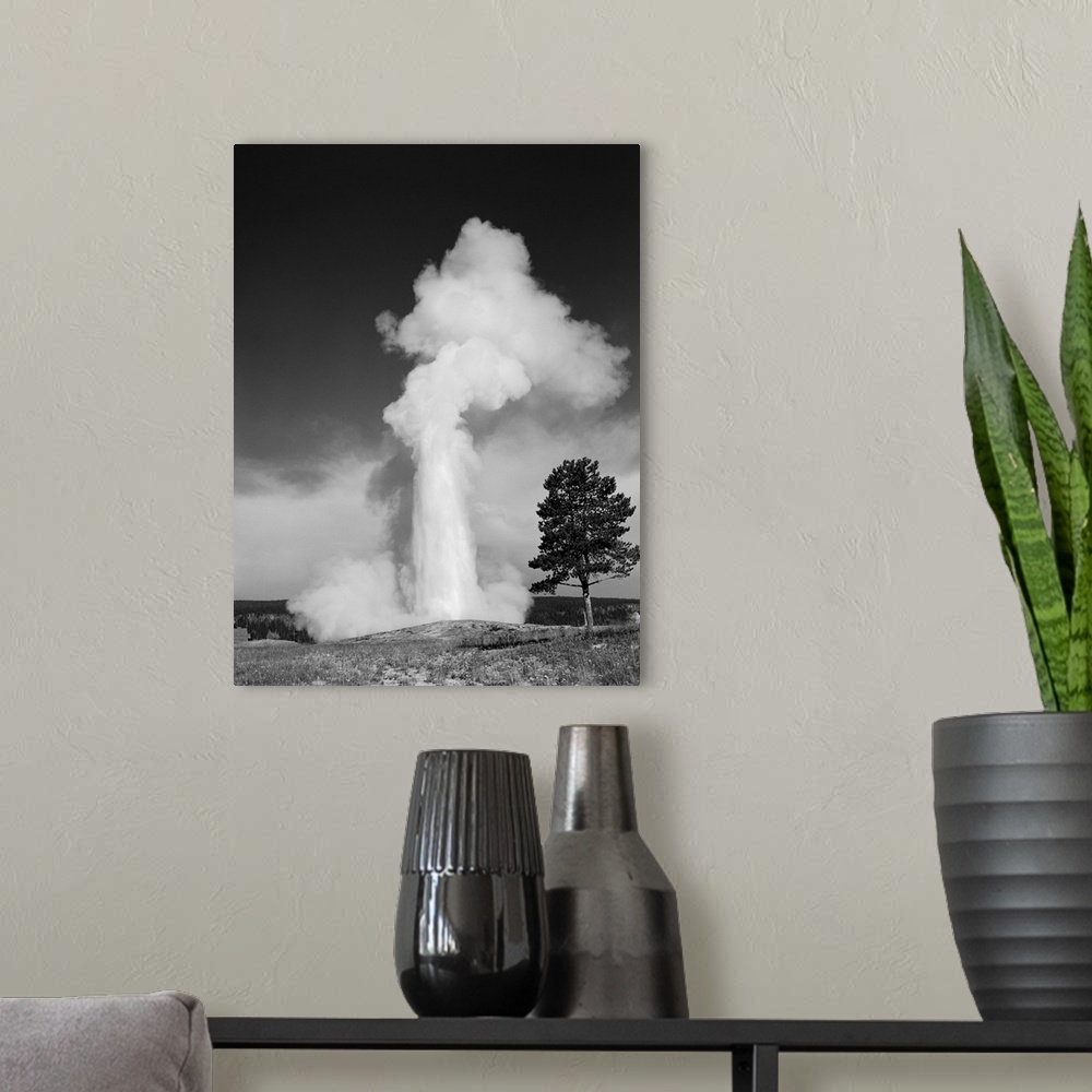 A modern room featuring 1960's Old Faithful Geyser Erupting Yellowstone National Park.