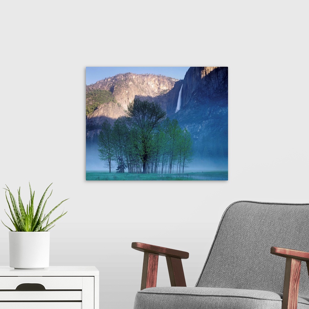 A modern room featuring Big photograph taken within a famous wilderness area in the Western United States focuses on a gr...