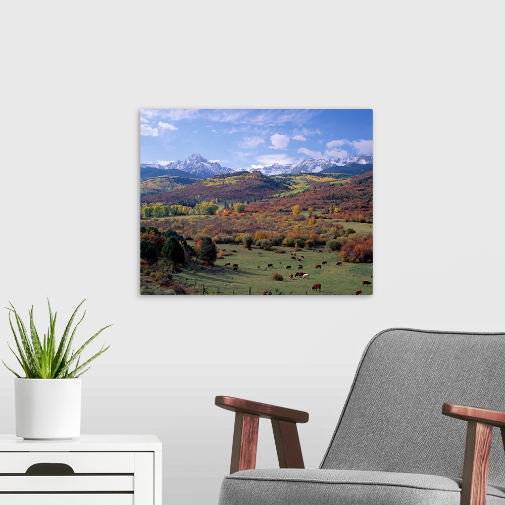 A modern room featuring Amazing landscape photograph of farmland, forest, and snowcapped mountains in the Rockies.