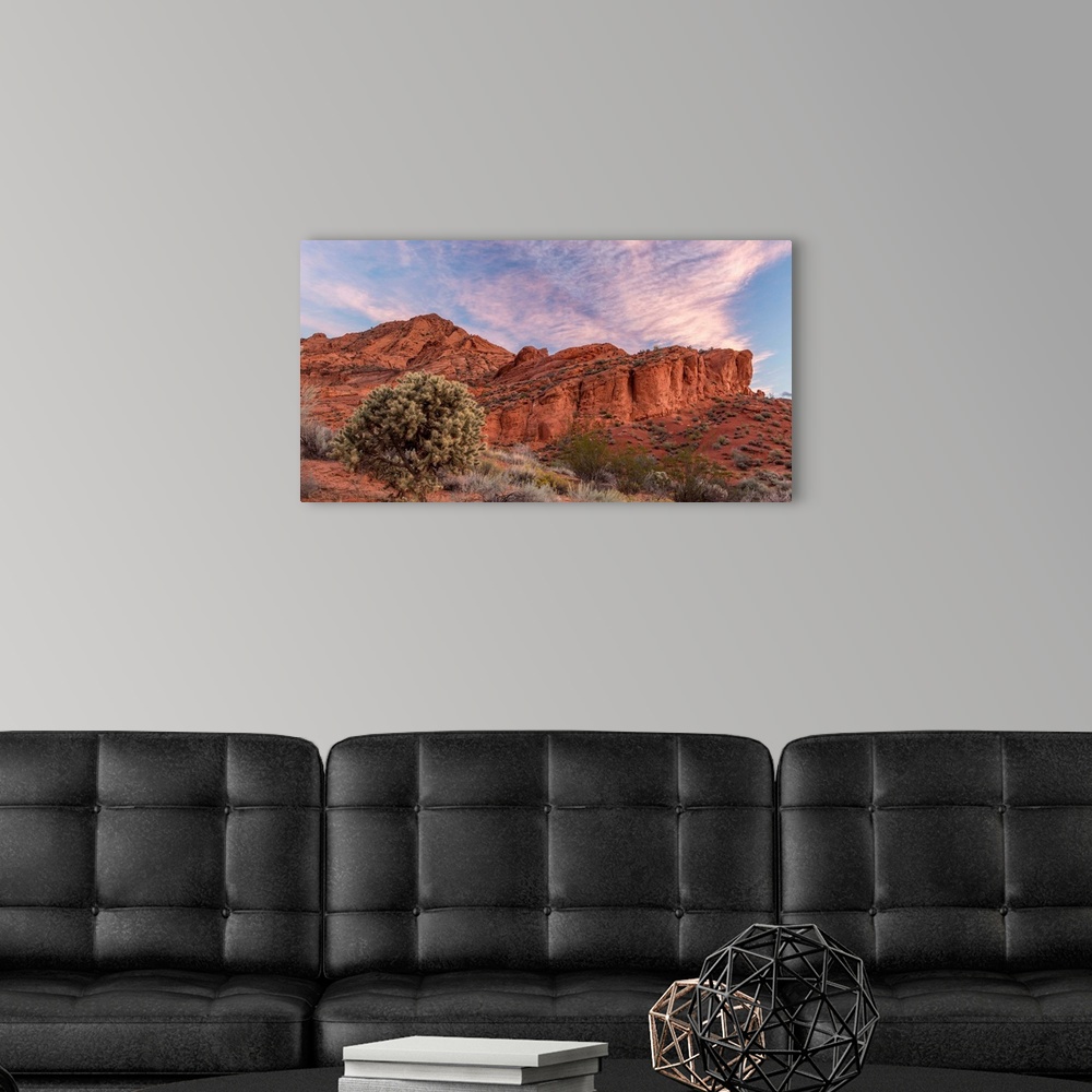 A modern room featuring Cholla cactus and red rocks at sunrise, St. George, Utah, USA