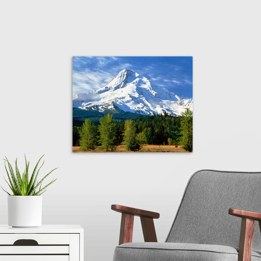 A modern room featuring Trees with snowcapped mountain range in the background, Mt Hood, Upper Hood River Valley, Hood Ri...
