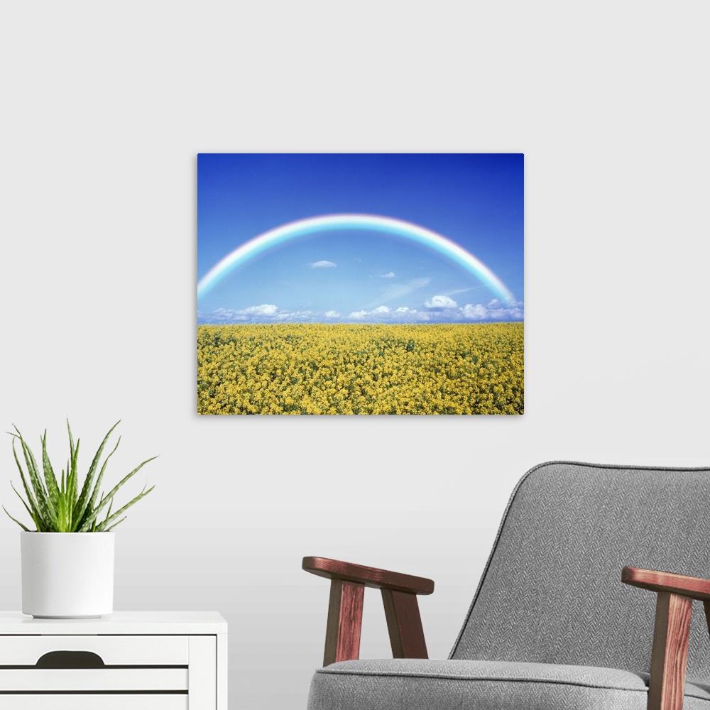 A modern room featuring Giant landscape photograph of a bright rainbow on the horizon, against a blue sky.  A field of go...