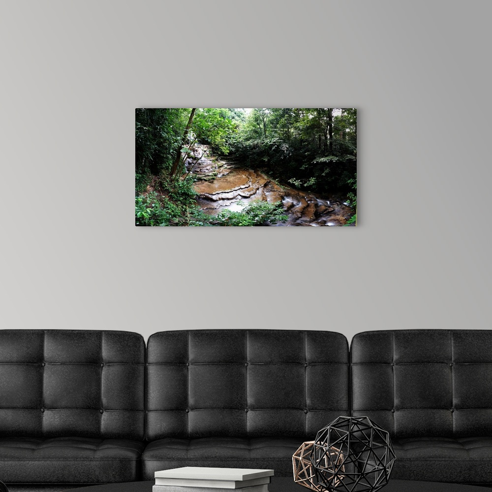 A modern room featuring Stream flowing through a forest, Palenque, Chiapas, Mexico.