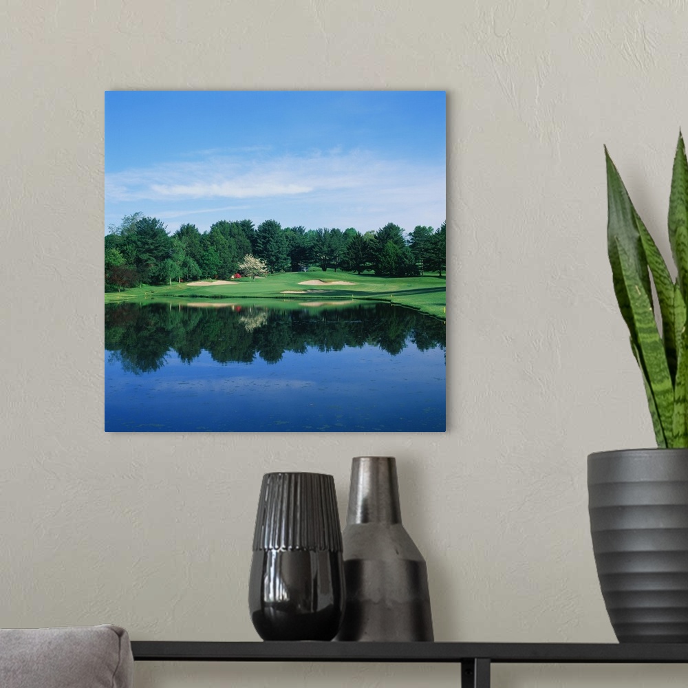 A modern room featuring Trees in a golf course, Wilmington Country Club, Wilmington, Delaware