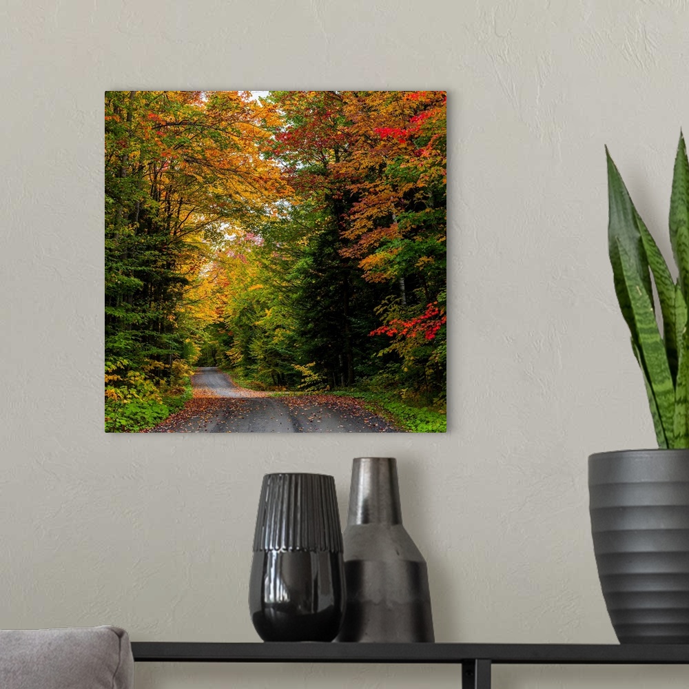 A modern room featuring View of dirt road in autumn, Sutton, Quebec, Canada