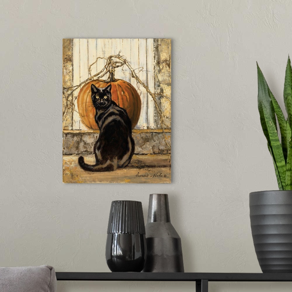 A modern room featuring Black Cat