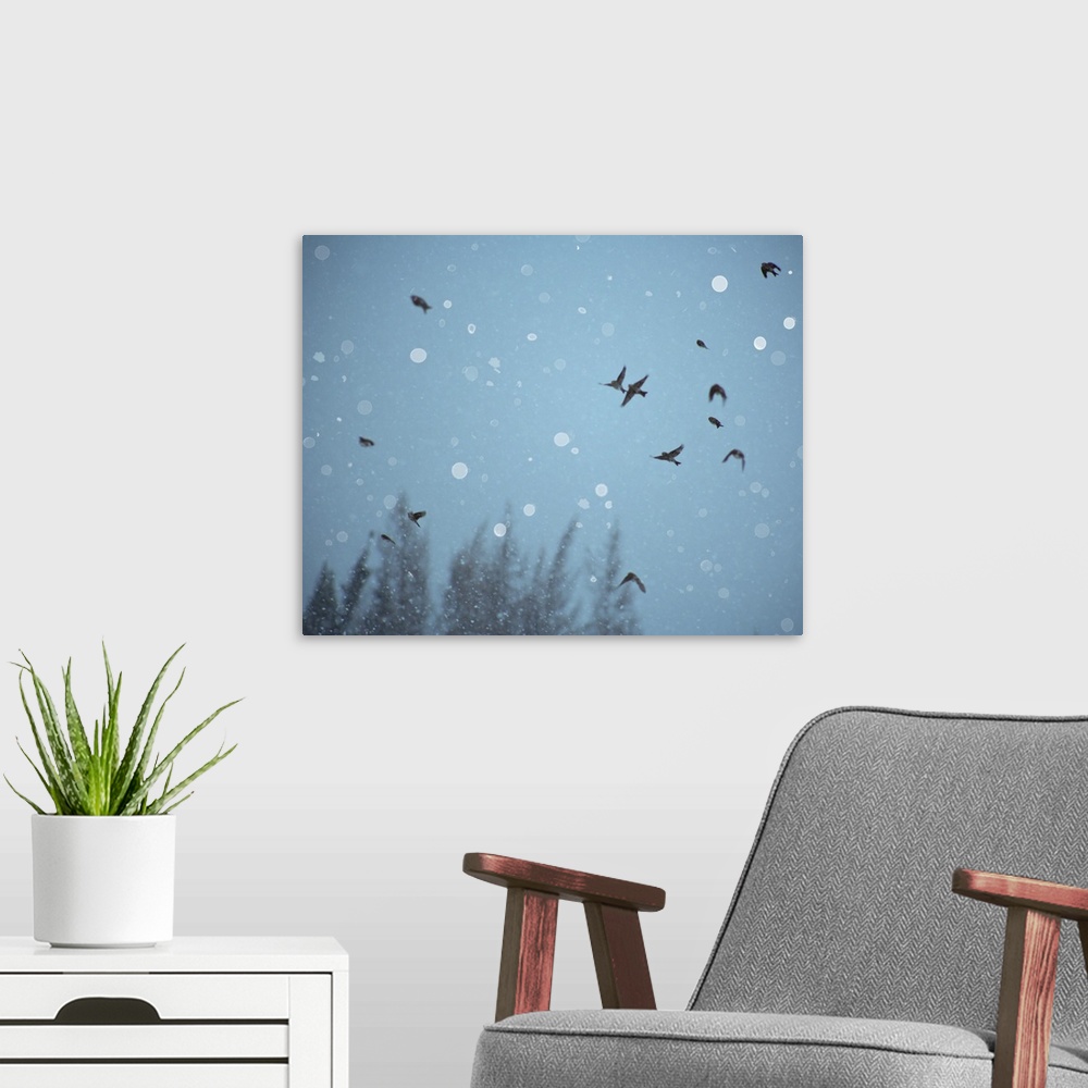 A modern room featuring A flock of birds flying in the sky among falling snow.