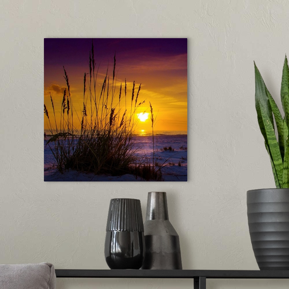 A modern room featuring Sunset on Siesta Key, silhouette of grasses from inches above the sand.