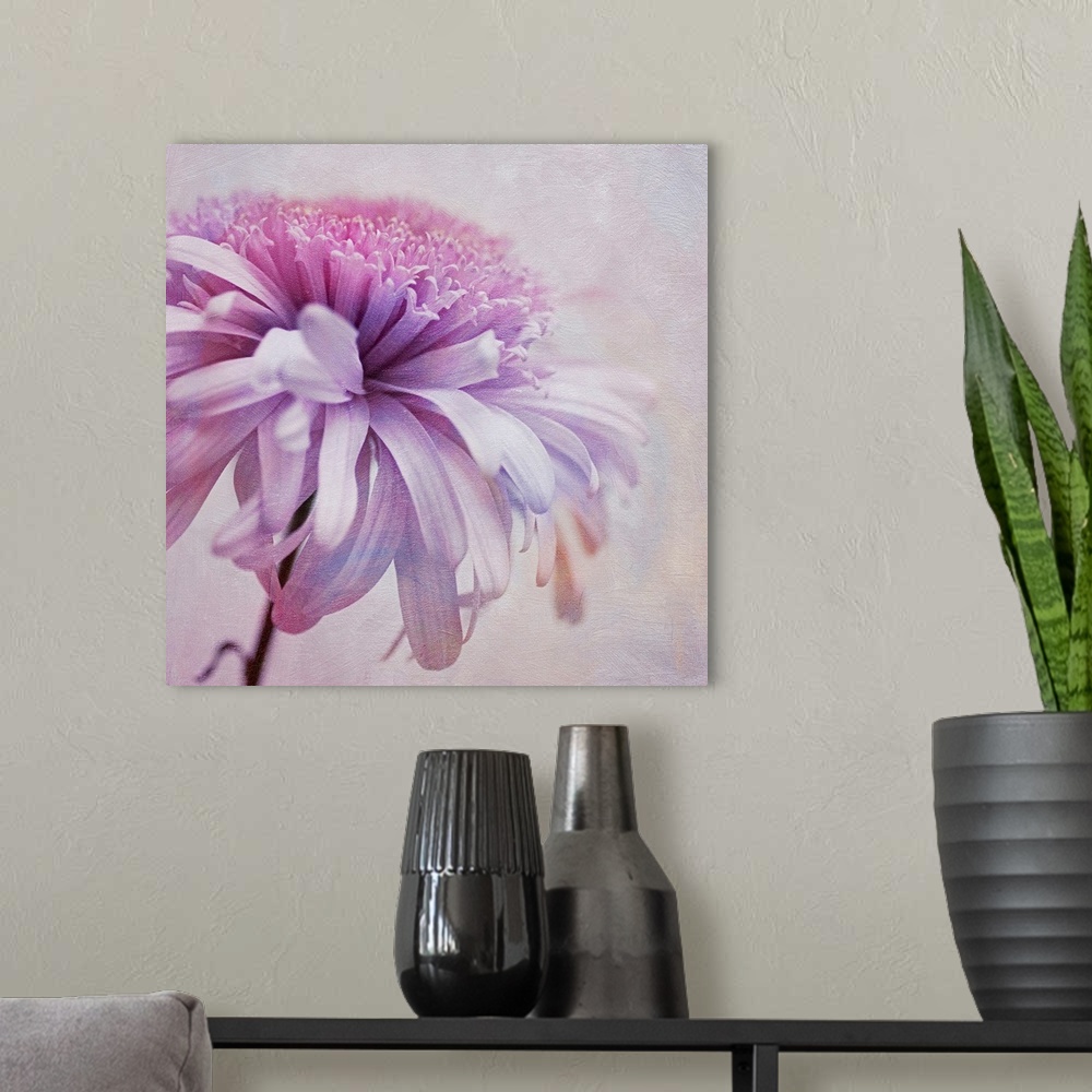 A modern room featuring Gerbera flower, layered with textures, square format