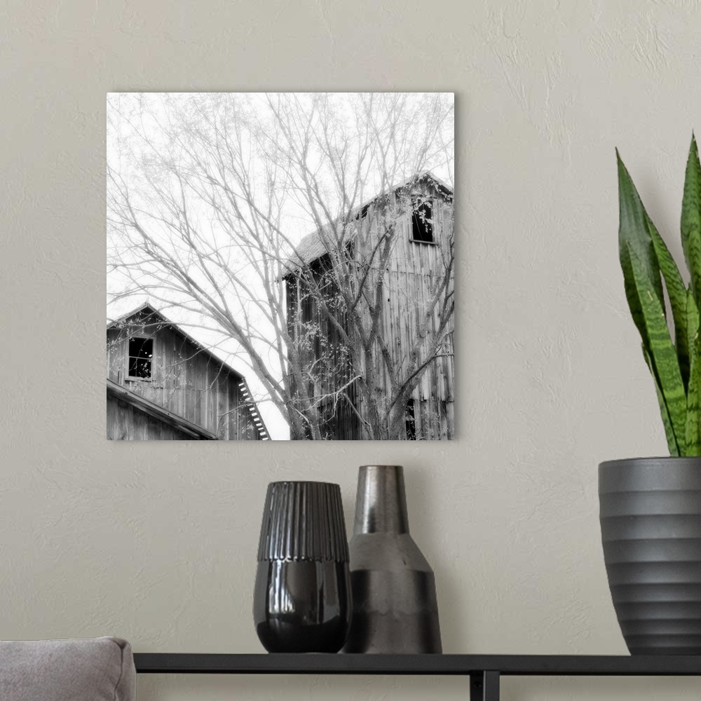 A modern room featuring A black and white image of old, weathered barns with blurred clouded sky.