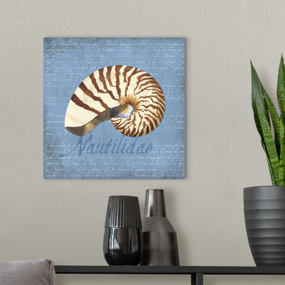 A modern room featuring Decorative design of a shell on a blue background with faded text and 'Nautilidae' on the side.