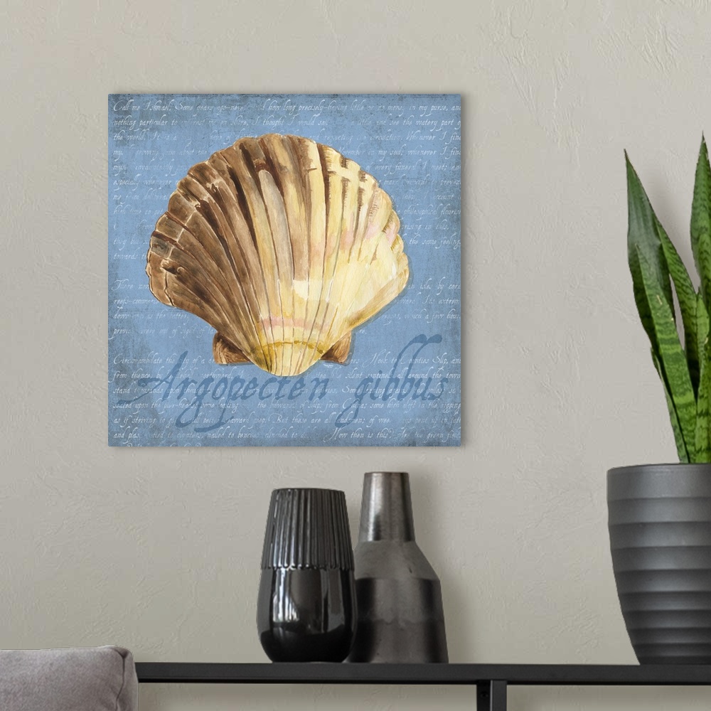 A modern room featuring Decorative design of a shell on a blue background with faded text and 'Argopecten gibbus' on the ...