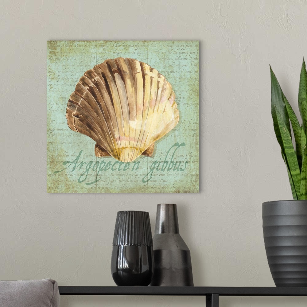 A modern room featuring Decorative design of a shell on a teal background with faded text and 'Argopecten gibbus' on the ...