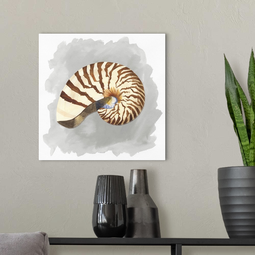 A modern room featuring Square artistic painting of a shell with a gray and white background.