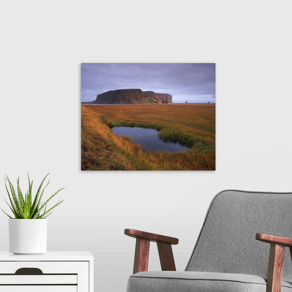 A modern room featuring Dyrholaey inselberg and cliffs, southernmost point of Iceland, Iceland