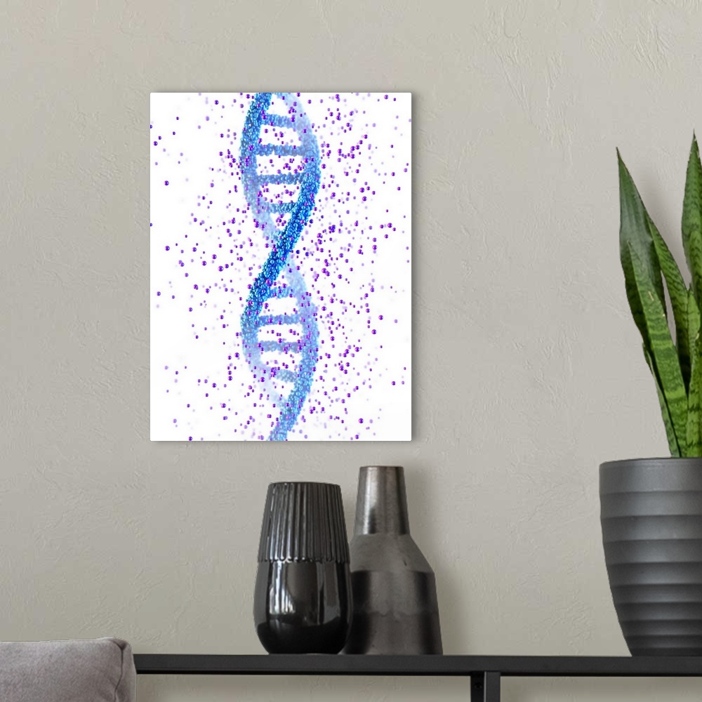 A modern room featuring DNA molecule. Computer illustration of a double stranded DNA (deoxyribonucleic acid) molecule. DN...