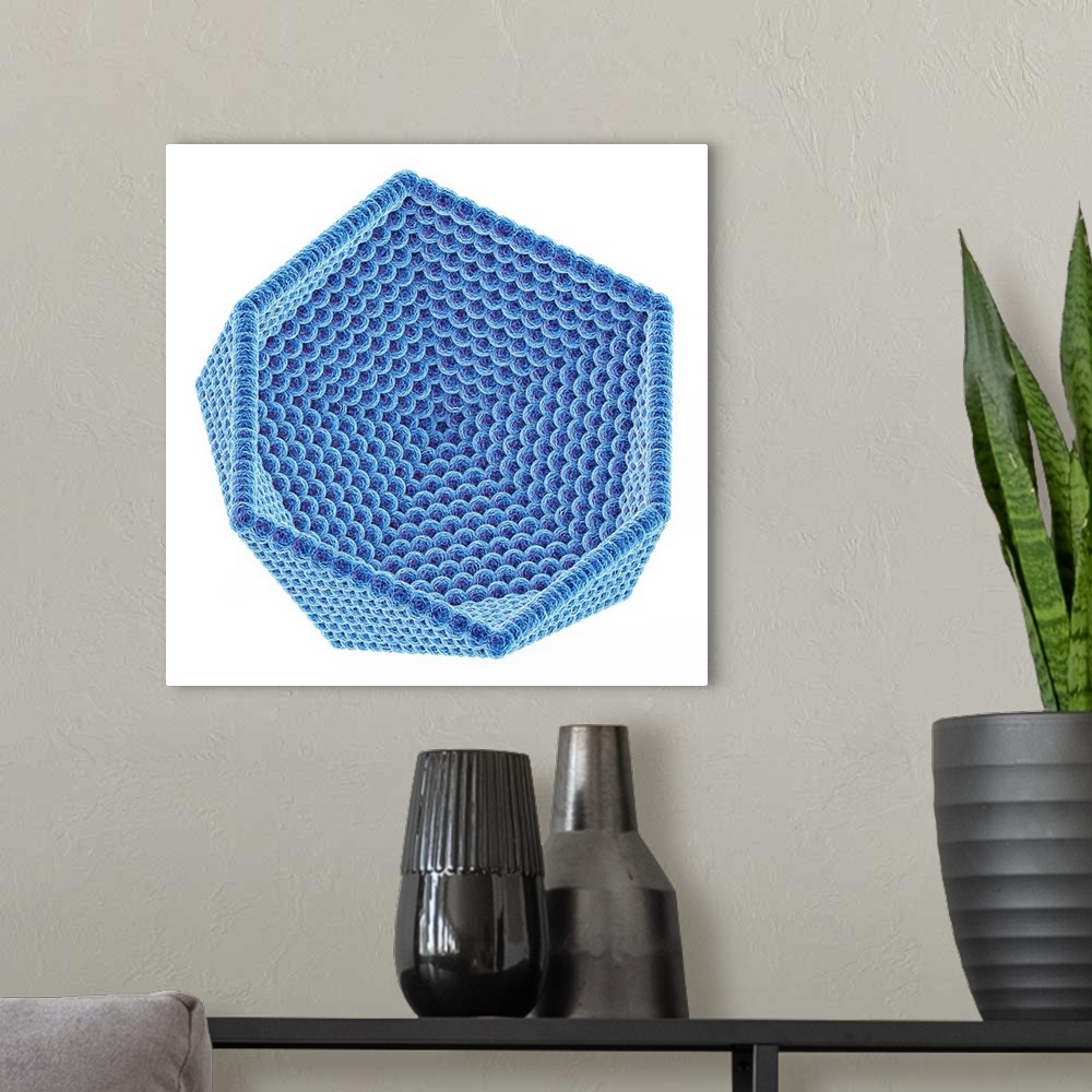 A modern room featuring Computer artwork of the inner surface of an icosahedral virus capsid. The capsid is the protein s...
