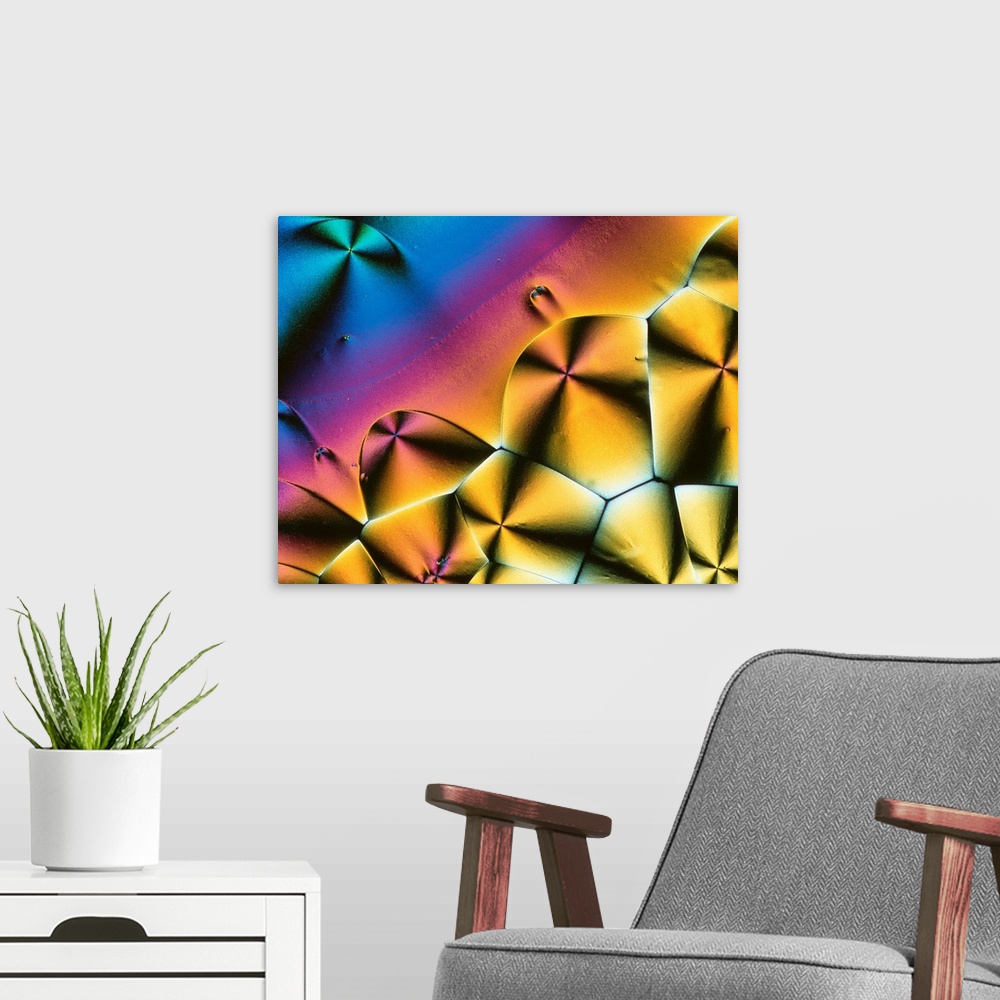 A modern room featuring Vitamin C. Polarised light micrograph of crystals of ascorbic acid, the common vitamin C. It is a...