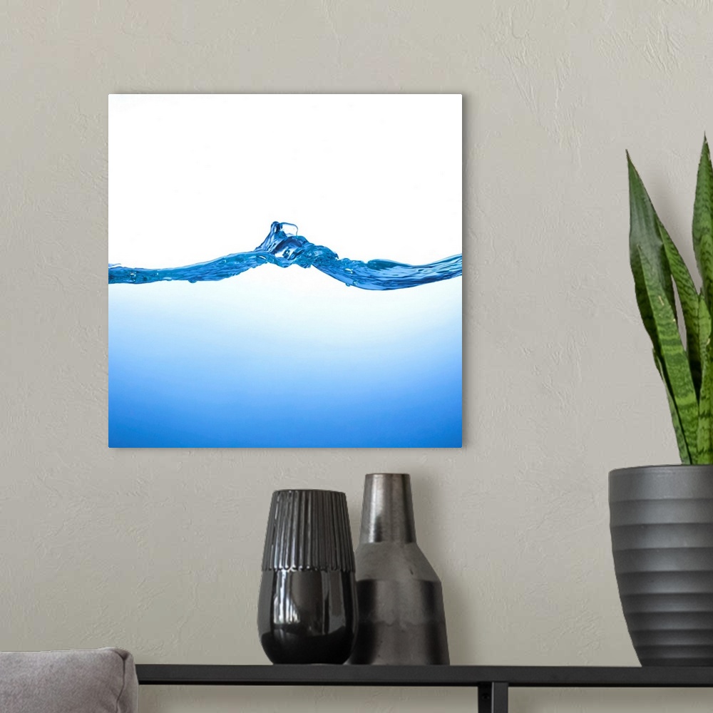 A modern room featuring Wave in a tank of water.