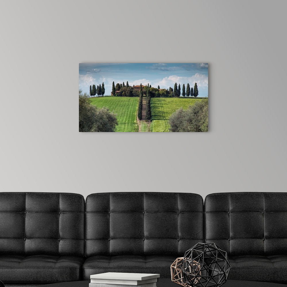A modern room featuring Beautiful home and Italian Cypress trees in Tuscany.