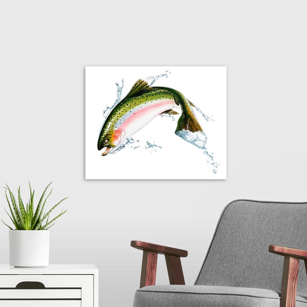 A modern room featuring A pink salmon jumping out of the water.