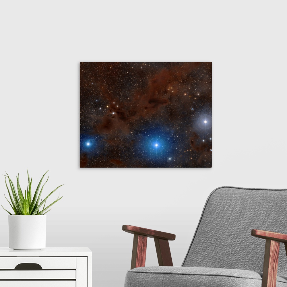 A modern room featuring Dark nebulae in Lupus constellation.