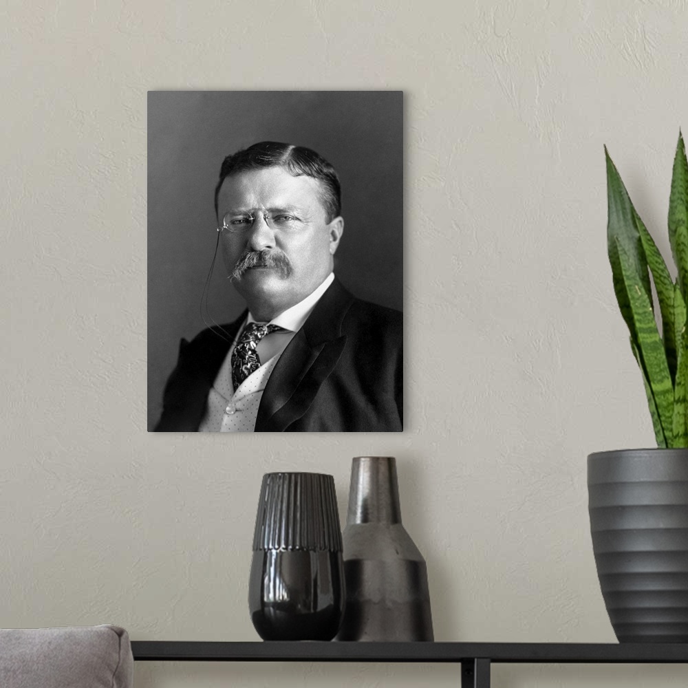 A modern room featuring Portrait of President Theodore Roosevelt in 1904.