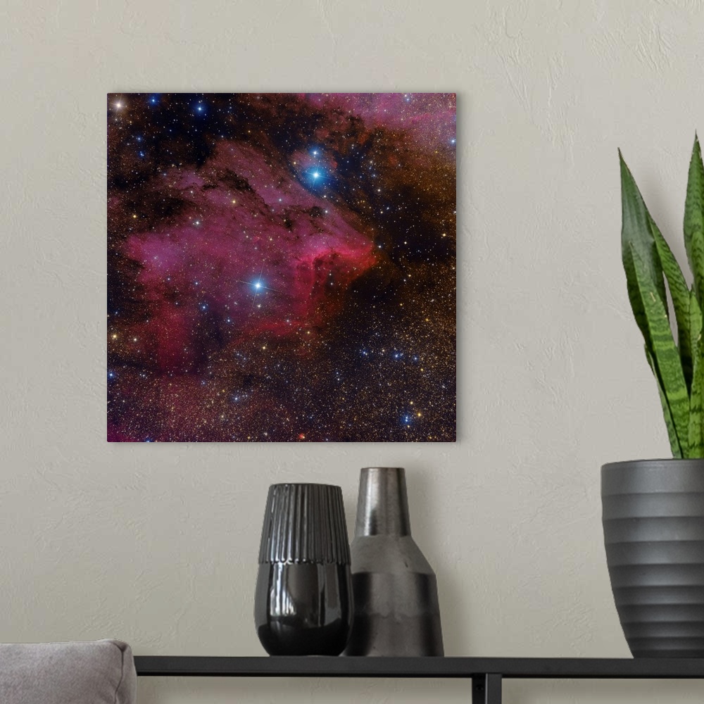 A modern room featuring The Pelican Nebula.
