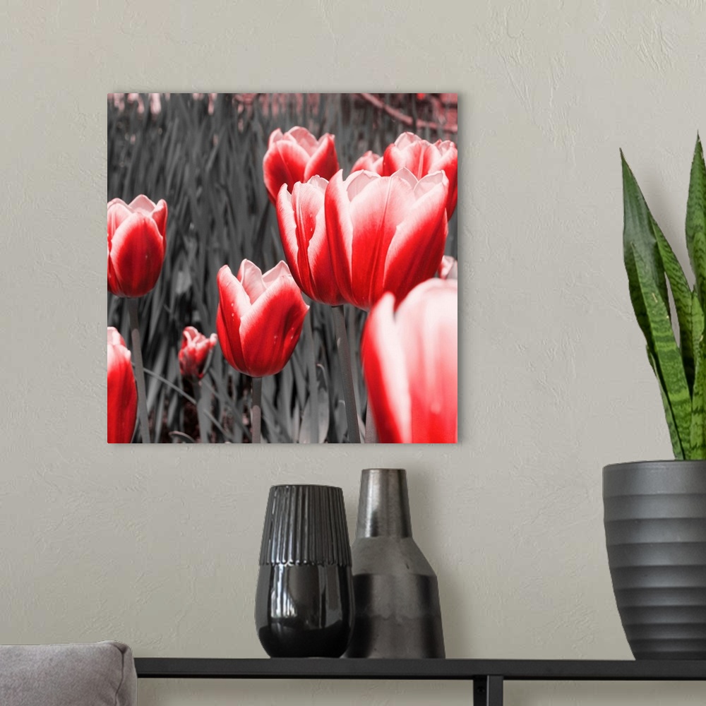 A modern room featuring Red Tulips I