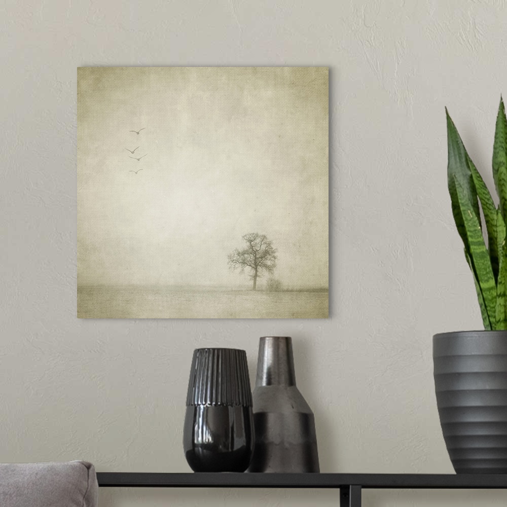 A modern room featuring A lonely tree and four birds flying away in an empty and strange landscape