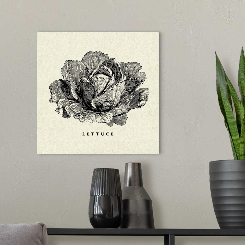 A modern room featuring Black and white illustration of a head of lettuce on a rustic linen background.