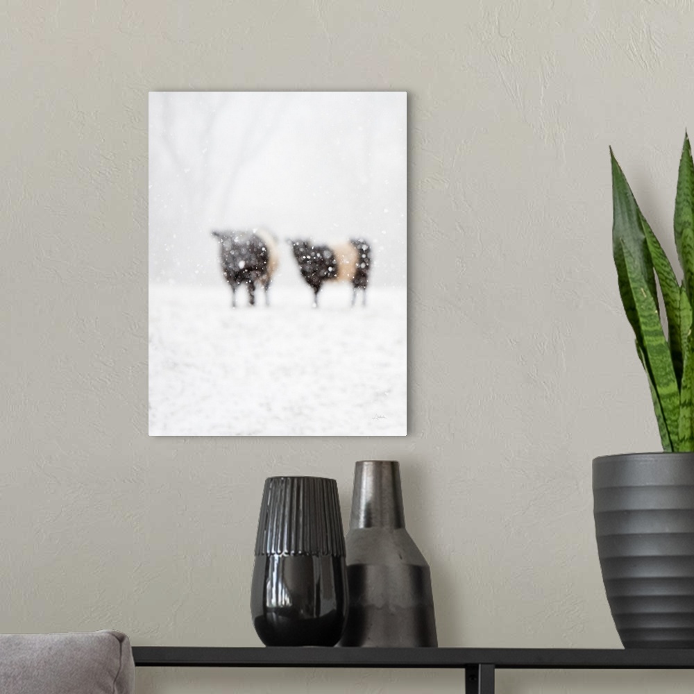 A modern room featuring Artistic photograph of two cows standing in a snowy field with prominent blurring throughout.