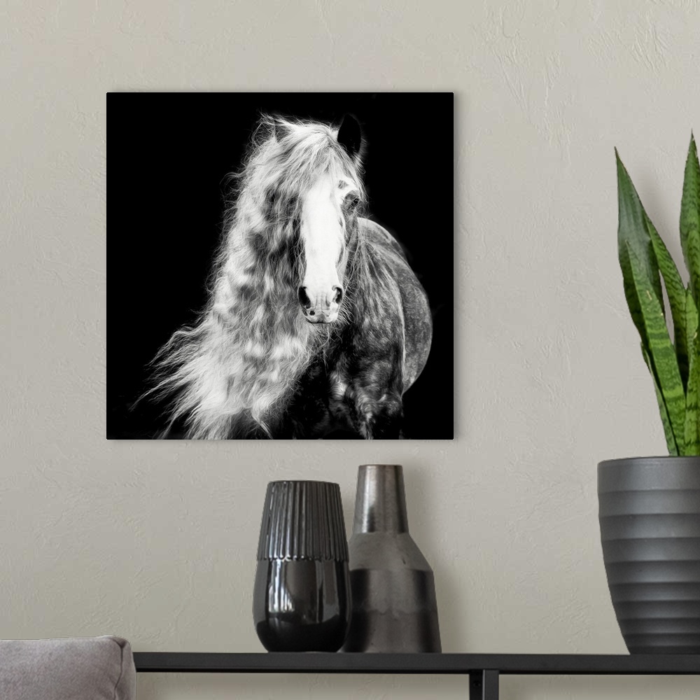 A modern room featuring Black And White Horse Portrait I