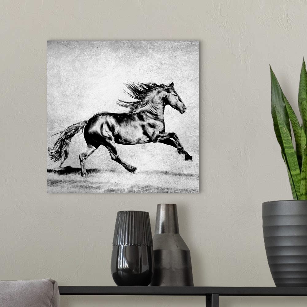 A modern room featuring Black and white photography of a black horse galloping in a field.