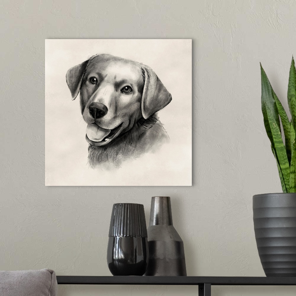 A modern room featuring Charcoal Labrador II