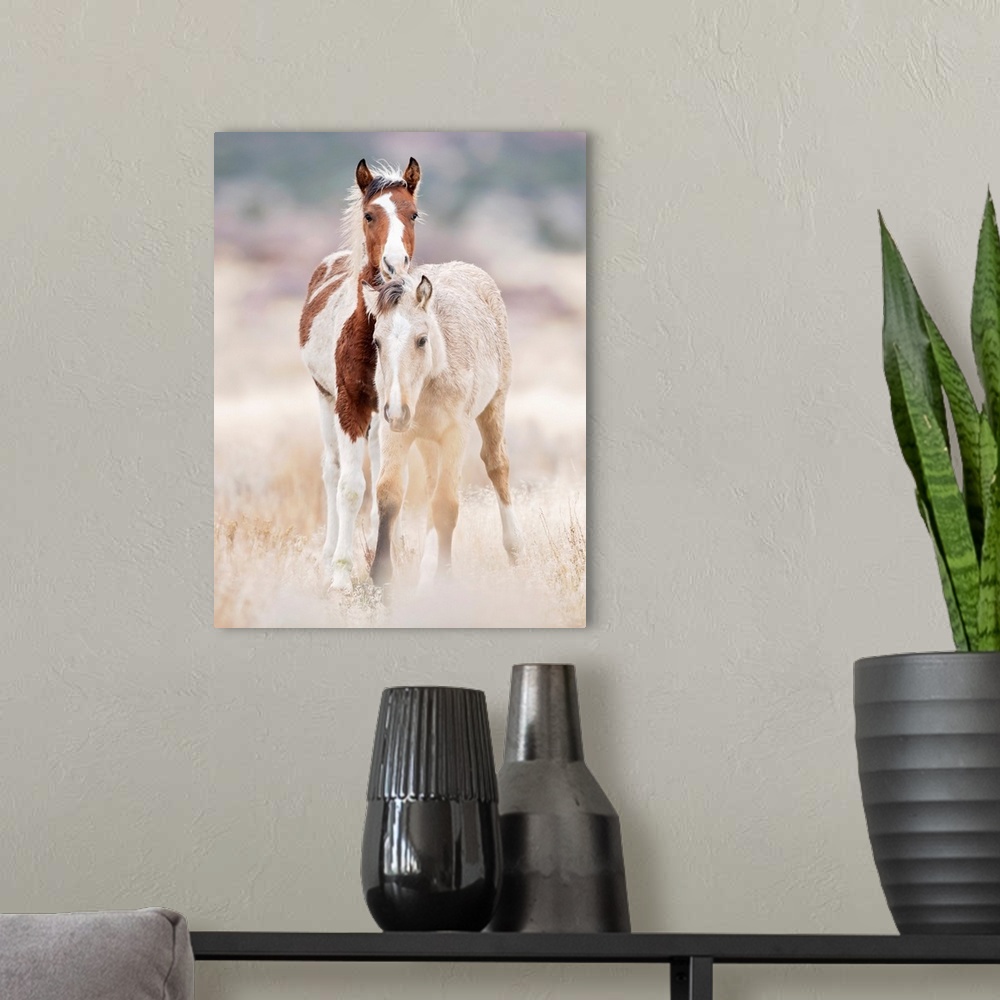 A modern room featuring Collection Of Horses X