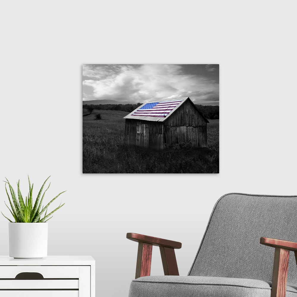 A modern room featuring Flags of Our Farmers XII
