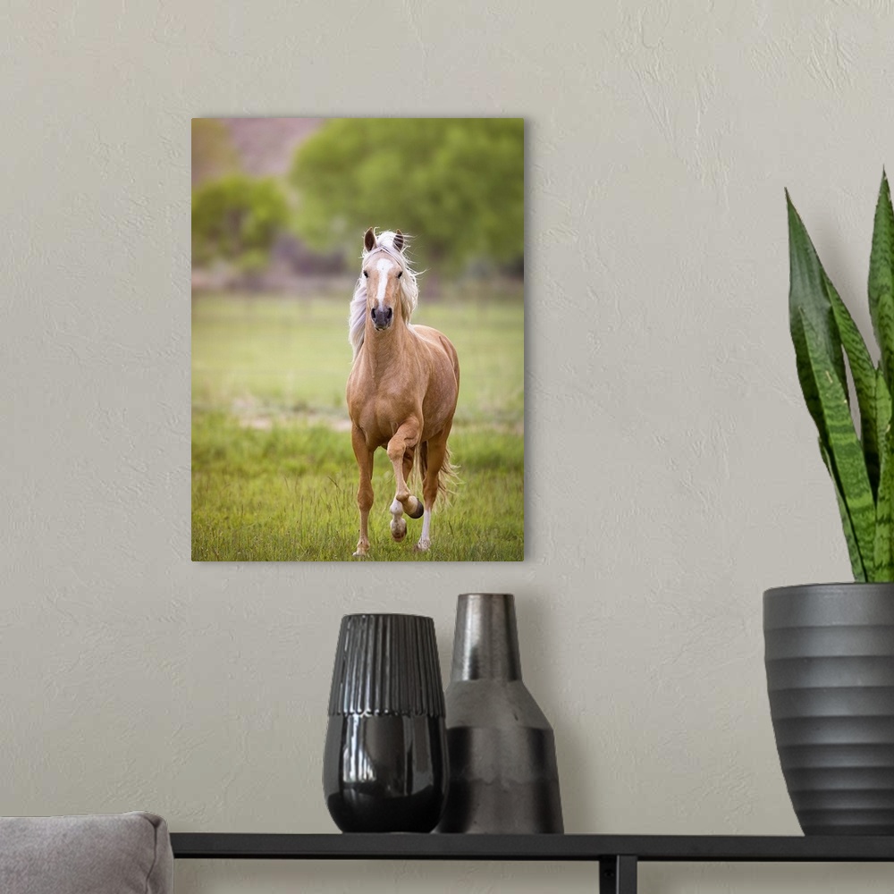 A modern room featuring A portrait of a brown horse standing in a green field.