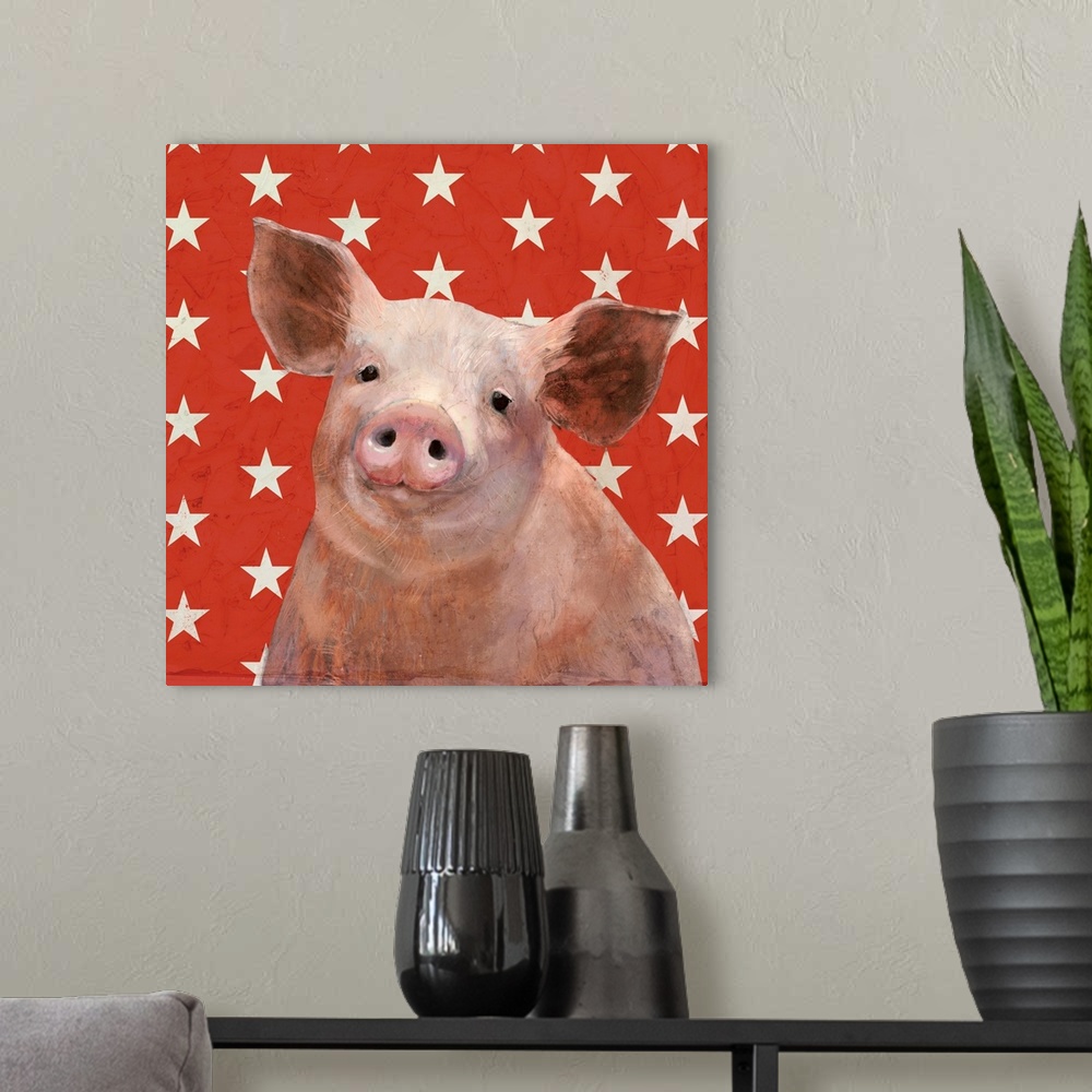 A modern room featuring Square portrait of a pig on a red and white star patterned background.