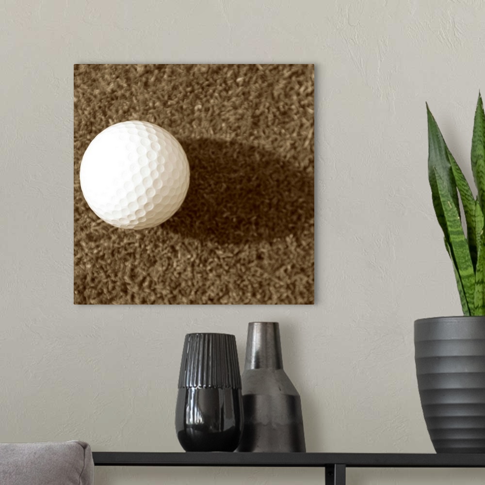 A modern room featuring Sepia Golf Ball Study III
