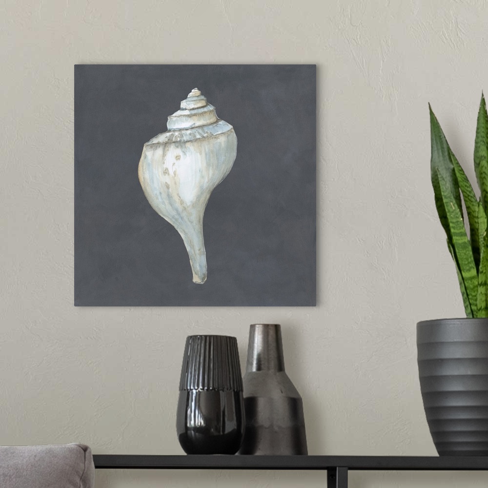 A modern room featuring Shell on Slate IV