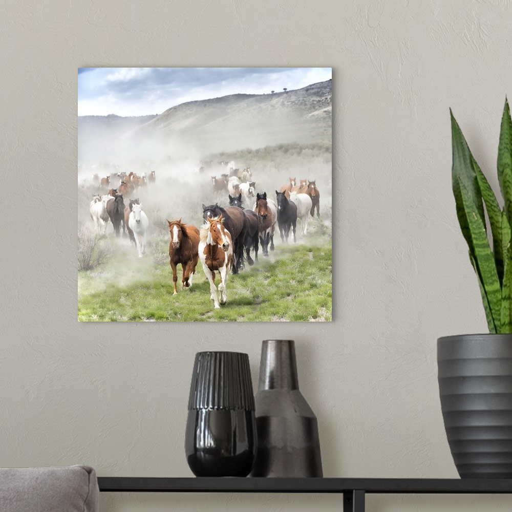 A modern room featuring Fine art photo of a herd of wild horses running across the plain.